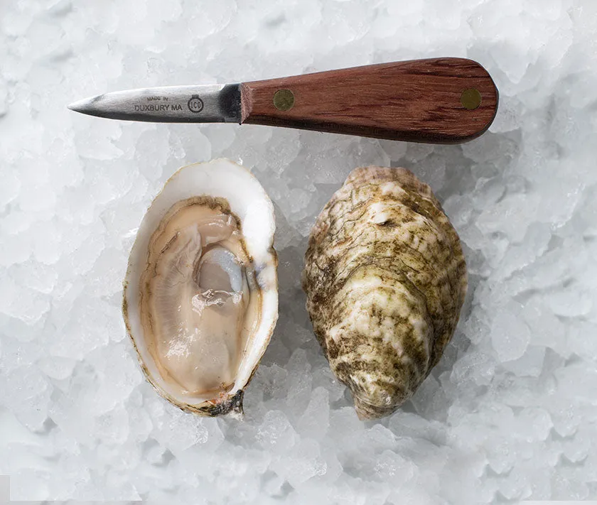 Beach Point Oysters from Barnstable, MA