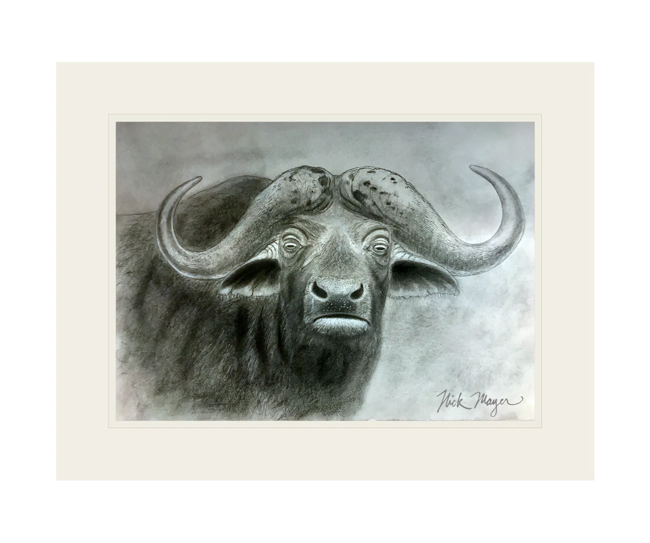 Cape Buffalo Print