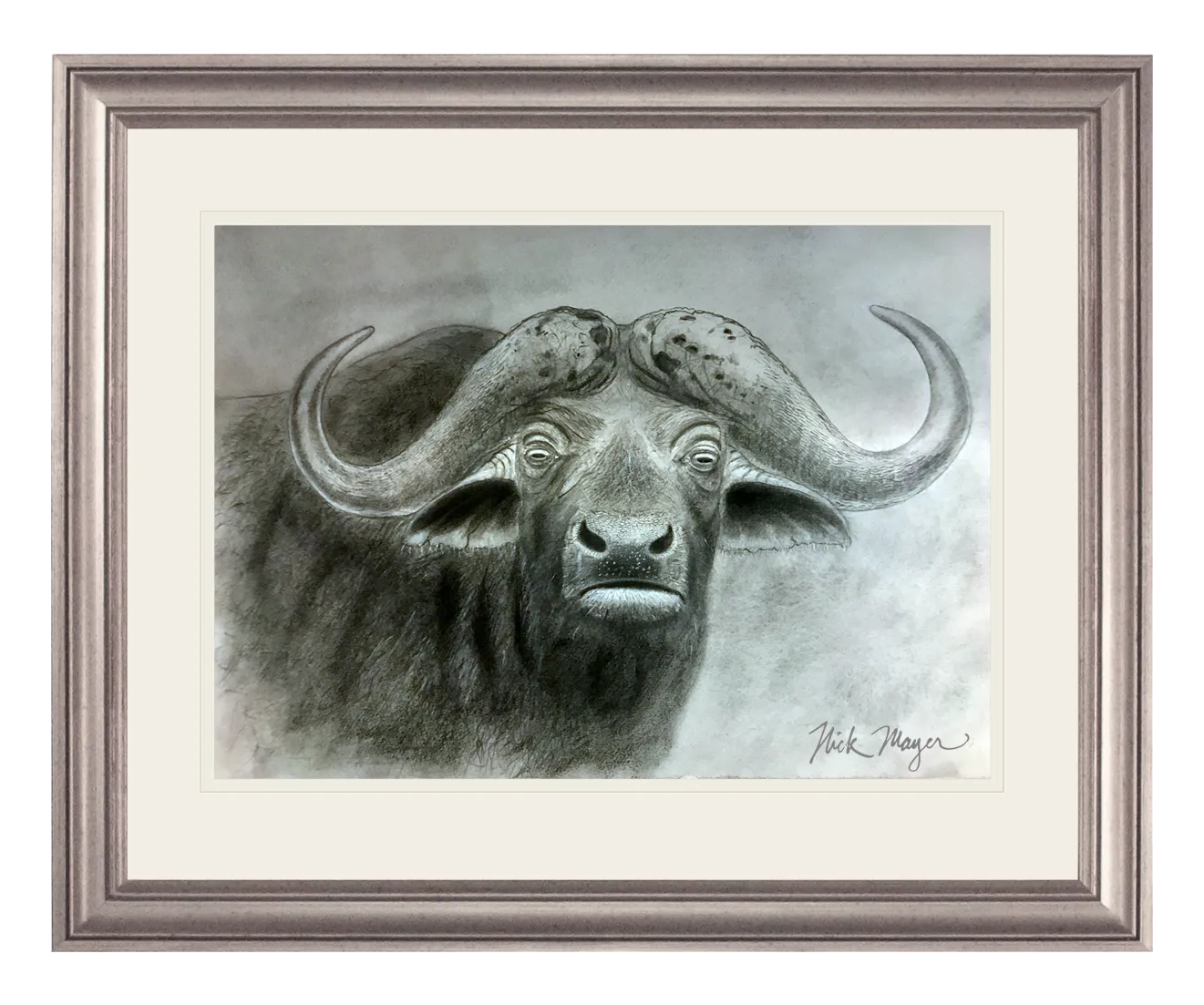 Cape Buffalo Print