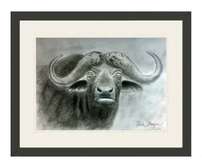 Cape Buffalo Print