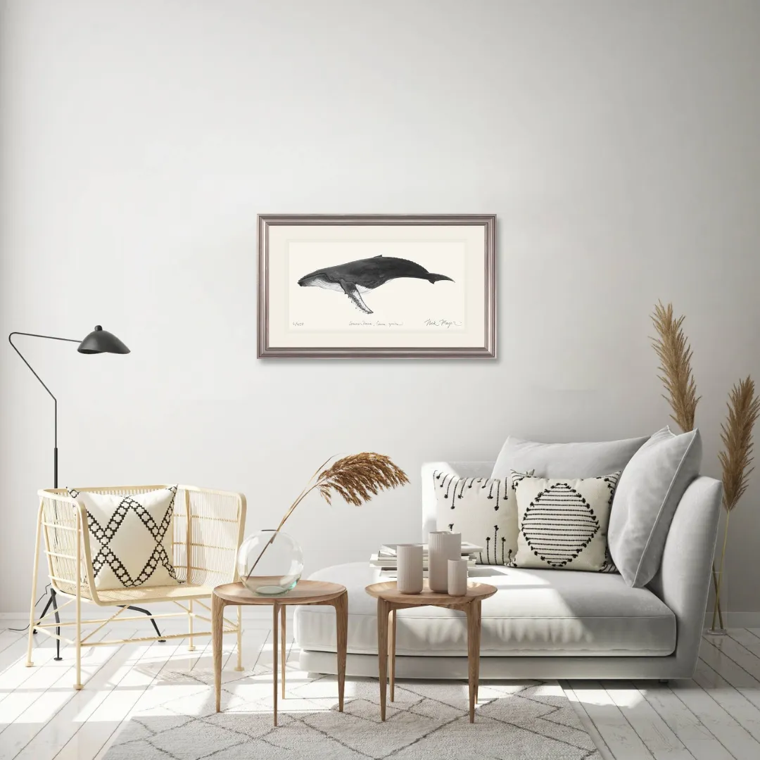 Humpback Whale Print (b&w)