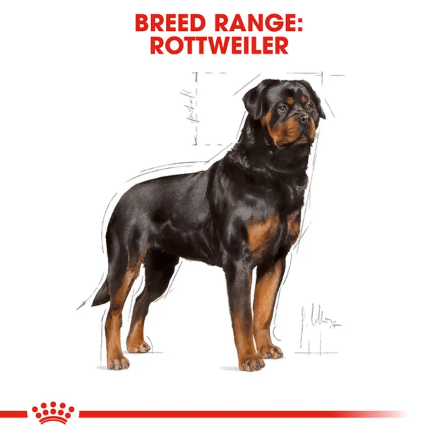 Royal Canin Rottweiler Adult Dog Dry Food